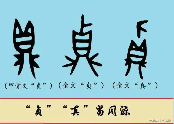 因"贞"字不但在读音上与"真"相近,而且甲骨文金文的字形上也比较相近