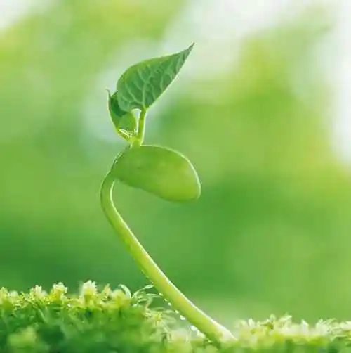 钢琴谱       钢琴谱 吉他谱 尤克里里 电子琴 帖子 用户 个人