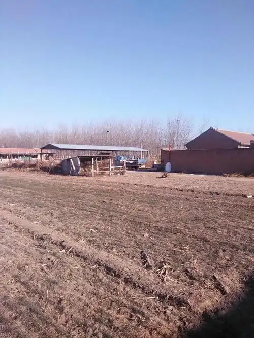 天津宝坻县南仁5亩土地出租