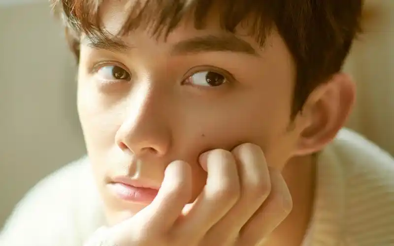 吴磊清新文艺写真图片桌面壁纸 - tt98图片网