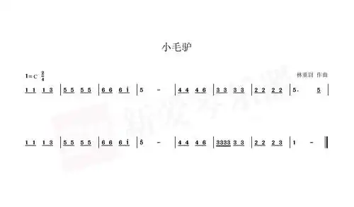 【小毛驴】新爱琴·从零开始学口琴