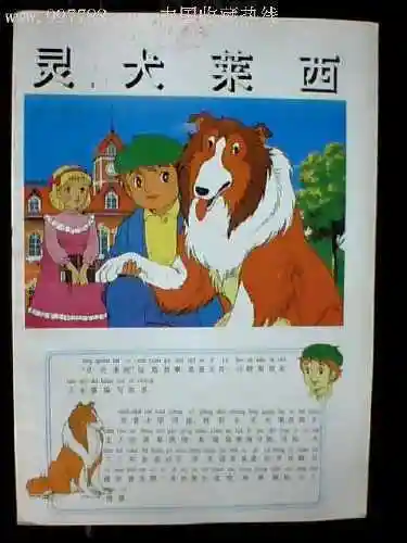 灵犬莱西好书推荐手抄报 好书推荐手抄报