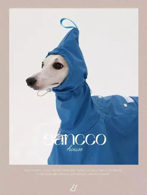 sasa是个piu酿的蓝孩子