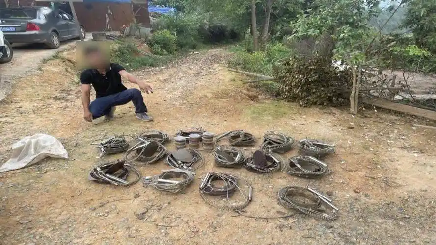 整套猎套分为三部分,分别是猎夹,钢索和报警器,有野猪等动物"中计"时