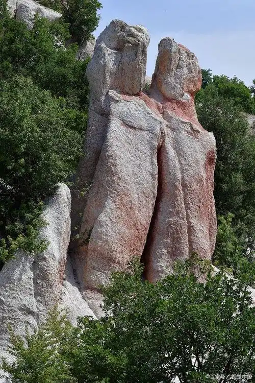 总之,仙女弹琴的奇石是黄山的一大瑰宝,它以其独特的形态和传说成为了