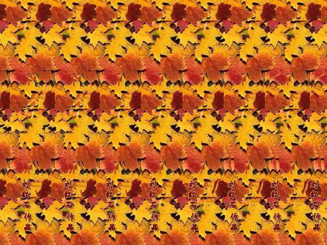 三维立体画欣赏(真实感觉)