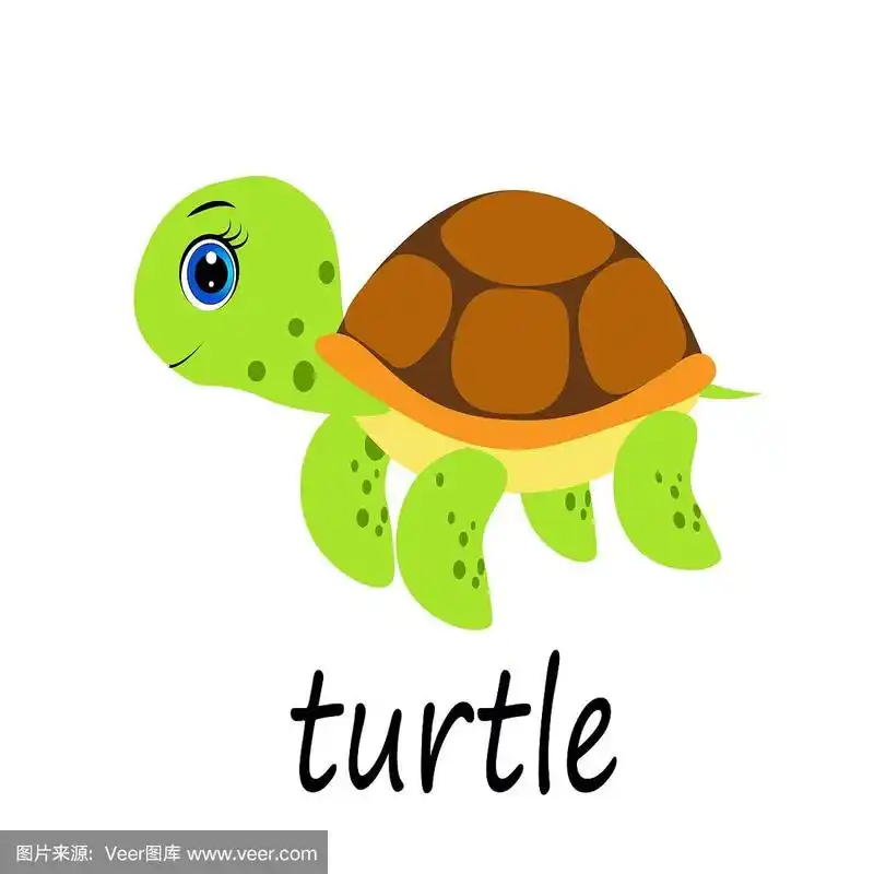 可爱的卡通海龟插图
