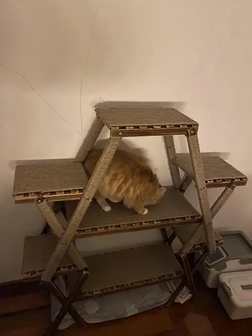 【讨论】自制猫爬架