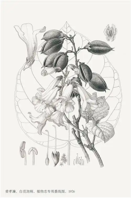 2021"中国好书"续篇《古典植物园2》| 新书速递_探险_荸荠_文化