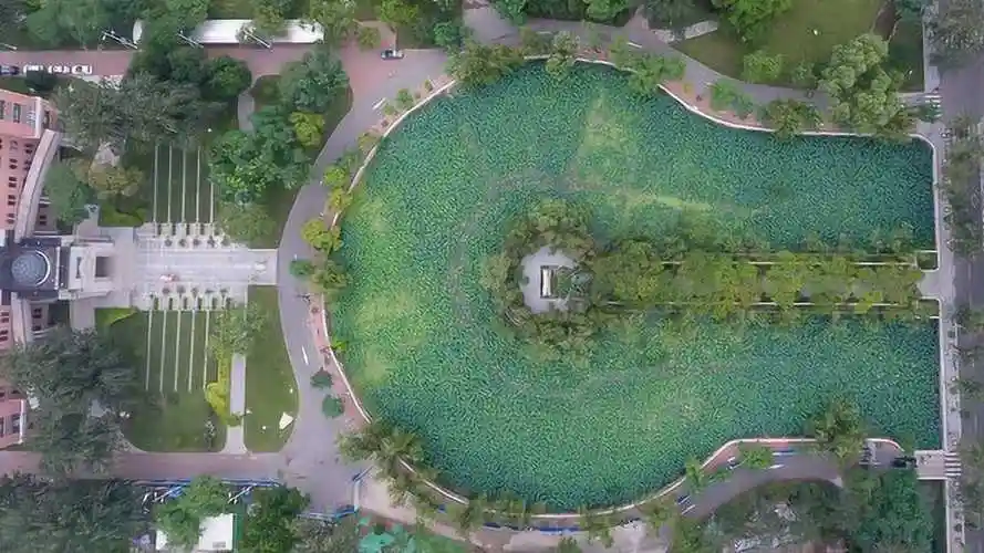 南开大学马蹄湖与党史故事