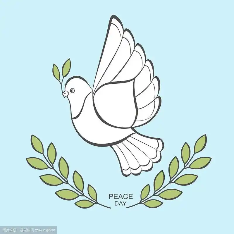 带着橄榄枝的白鸽