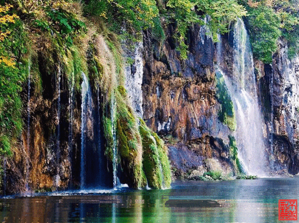 600_447gif 动态图 动图