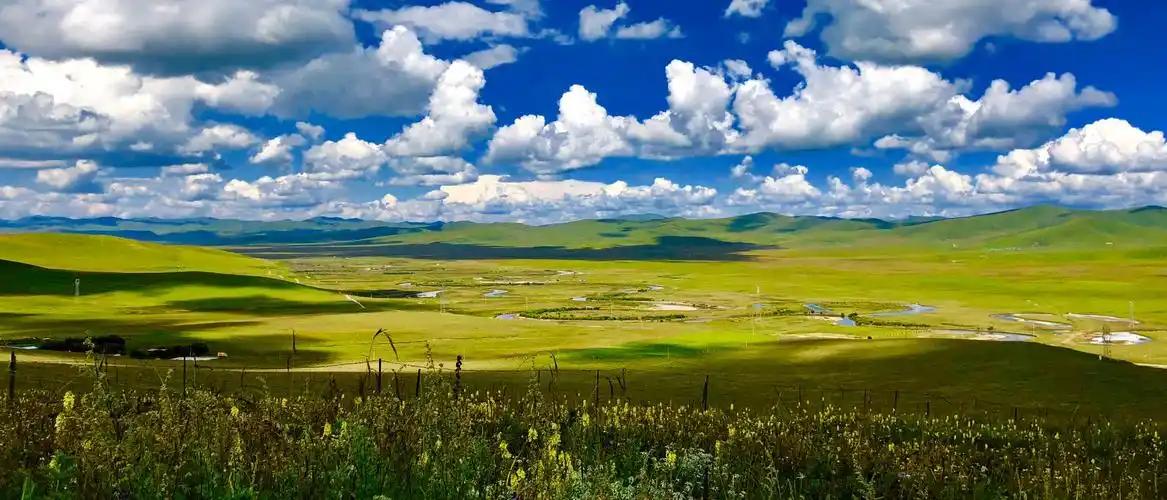 若尔盖县——黄河九曲第一湾