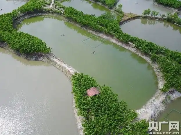 "湖州桑基塘鱼"获国家农产品地理标志证书