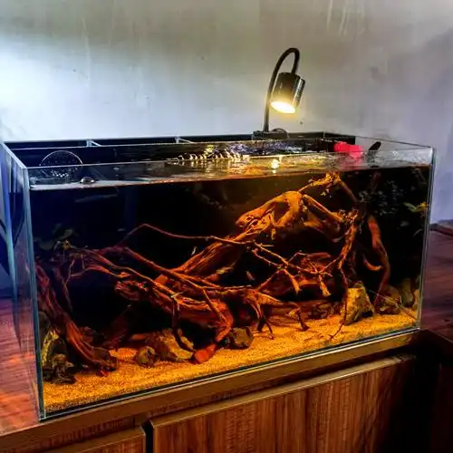 南美鱼缸led射灯无极调光龙鱼小夜灯水草缸夹照明器材