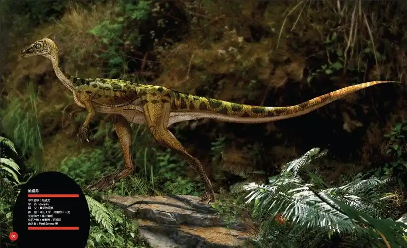 1993年,始盗龙发现于南美洲阿根廷西北部一处极其荒