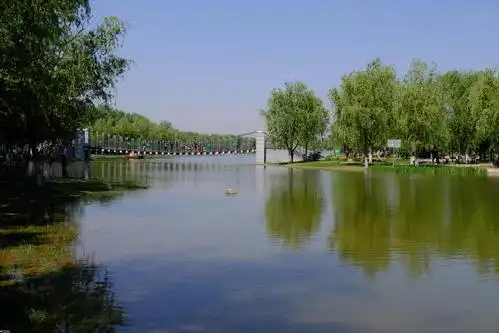 2020425日绿城渭河城市运动公园随拍