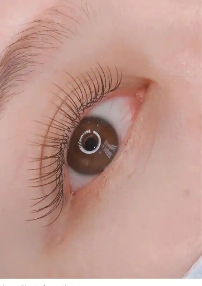 美睫分享 #秒变大眼睛  #单根睫毛#太阳花睫毛#漫画款睫 - 抖音