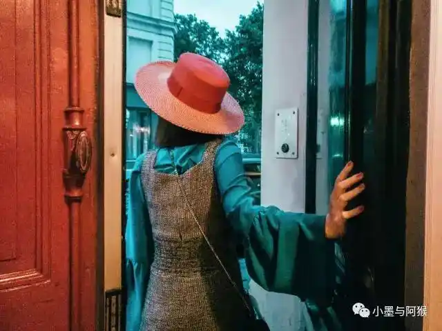 走过长长的走廊,再推开一扇门,就会看到两只可爱的猫咪,以及一个茂盛