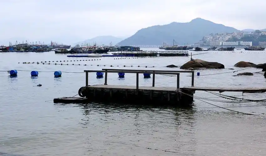 逃离深圳这座城市我更喜欢惠州的小渔村