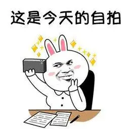 你能不能重复一遍,你刚刚说的那些豪言壮语表情包 - 日常表情包