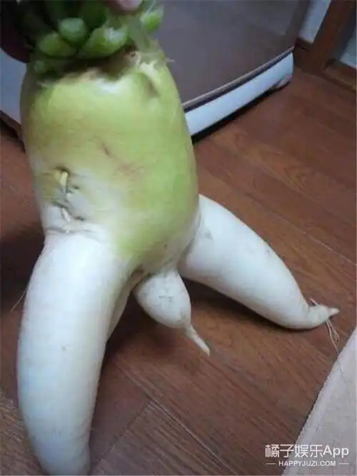 日本网友晒长相奇怪的蔬菜,实在太销魂了