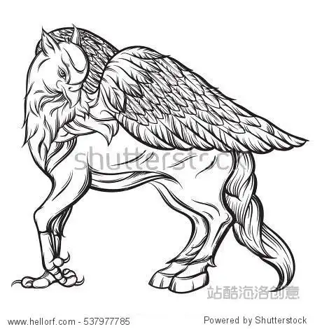vector hand drawn realistic illustration of hippogriff in line
