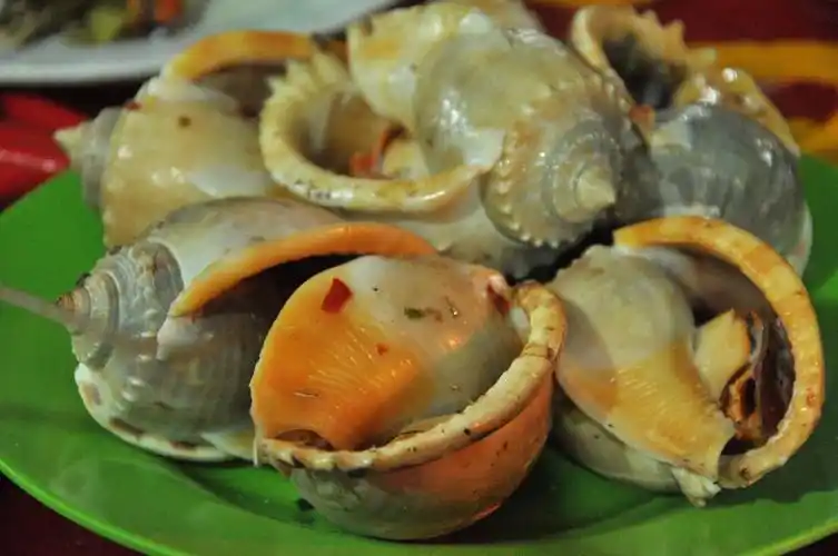 海螺有点臭味可以吃吗