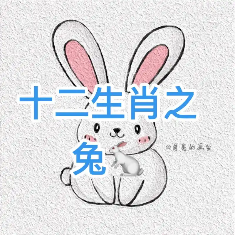 简笔画教程十二生肖之兔.简笔画打卡第四天#小白兔简笔画教程  - 抖音