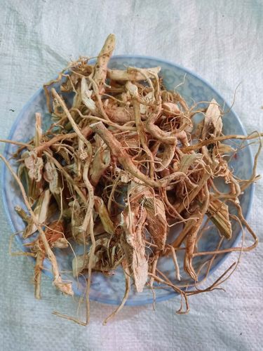 苋菜山区野生中药材带刺野苋菜根红菜头红刺苋刺其他药食同源食品