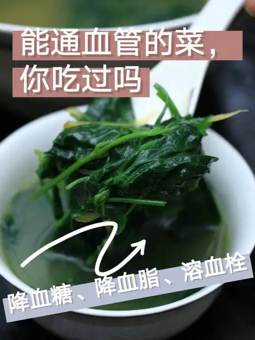 能通血管的菜你吃过吗