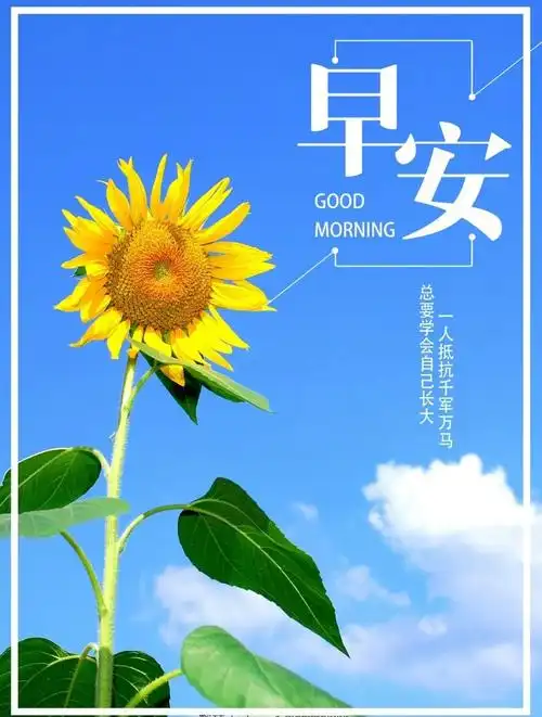 早安暖心话阳光早安问候语正能量励志早安图片带字