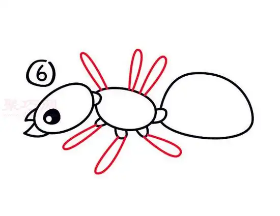 儿童简笔画蚁后的画法教你如何画蚁后简笔画