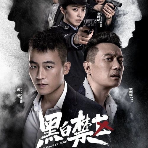 《黑白禁区》主演欧豪,刘晓洁包邮dvd碟片光盘影碟连续剧完整版