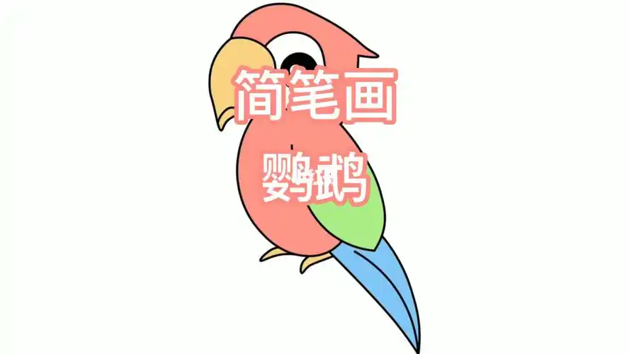 鹦鹉简笔画画法
