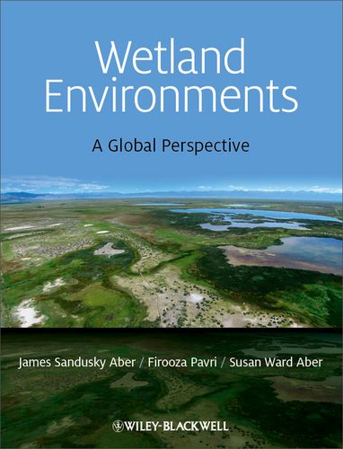 wetland environments: a global perspective