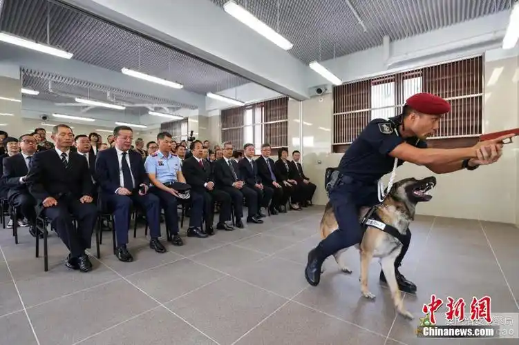 可提供150个独立犬舍,设有多个室内活动和训练场地,以及警犬游泳训练