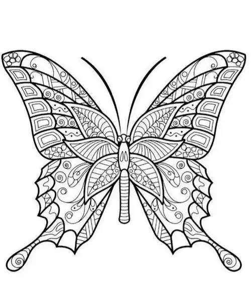 23款美丽蝴蝶刺绣,只要学会三种针法,就可绣出!附图解教程