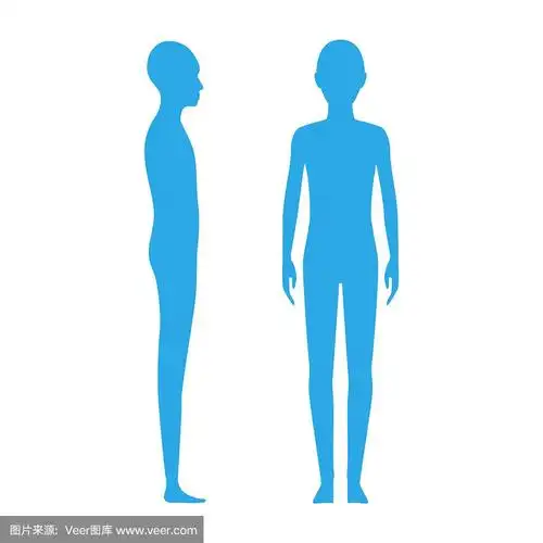 一个青少年的正面和侧面的人体轮廓.性别中立的人.