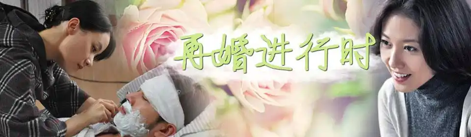 『剧集』再婚进行时