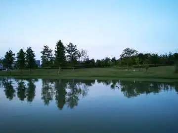 海湾静悄悄图片