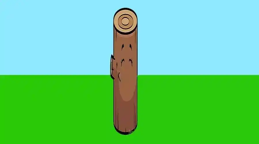 《聪明的木棒》【涛哥的童话】no.564