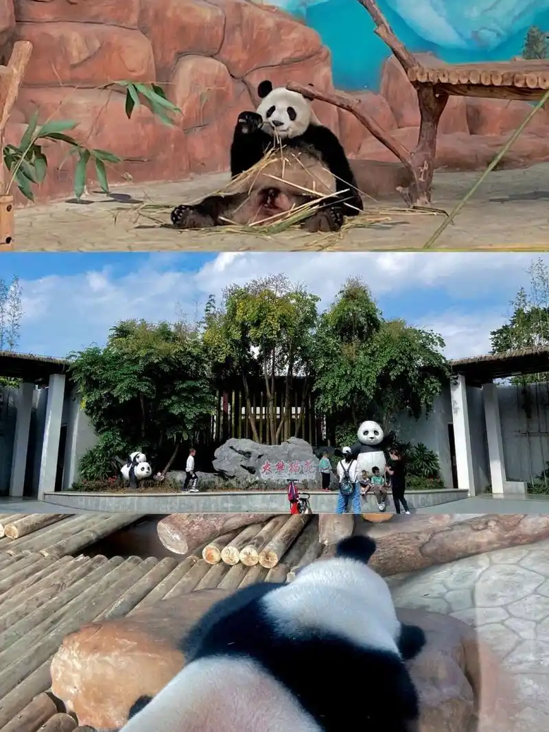今天南宁动物园门票30元👀遛娃看熊猫去呗 "麻麻,我要看梅花鹿🦌"