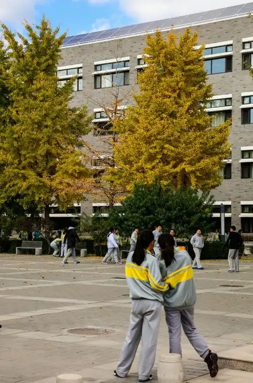 北京二中校园立冬留影