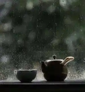 多雨期,喝茶驱湿气