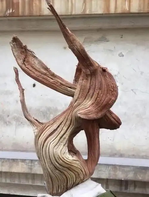 崖柏篇:太行南麓精品崖柏