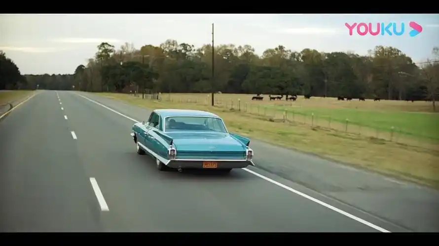 这也是当时人们一度打趣叫这部电影"绿皮车"的主要原因吧.