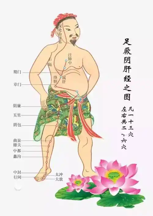 胆经|太冲穴|穴位_网易订阅