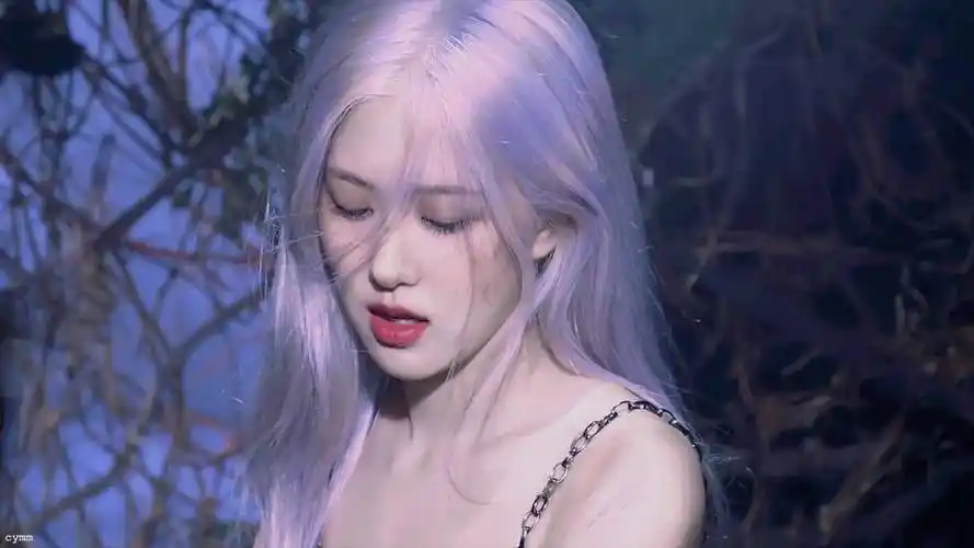 roses rosie rose 朴彩英blackpink - 堆糖,美图壁纸兴趣社区