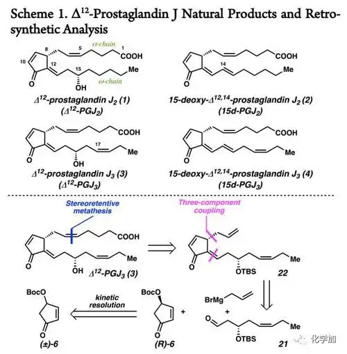 等人通过立体控制的烯烃复分解反应完成了Δ12前列腺素j的简洁全合成
